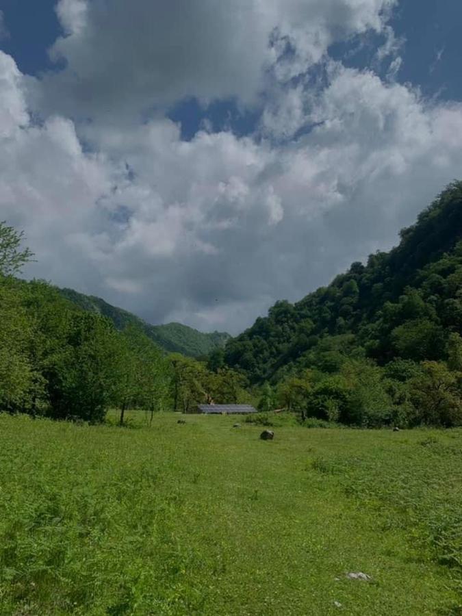 Nahei Cottage 马尔特维利 外观 照片